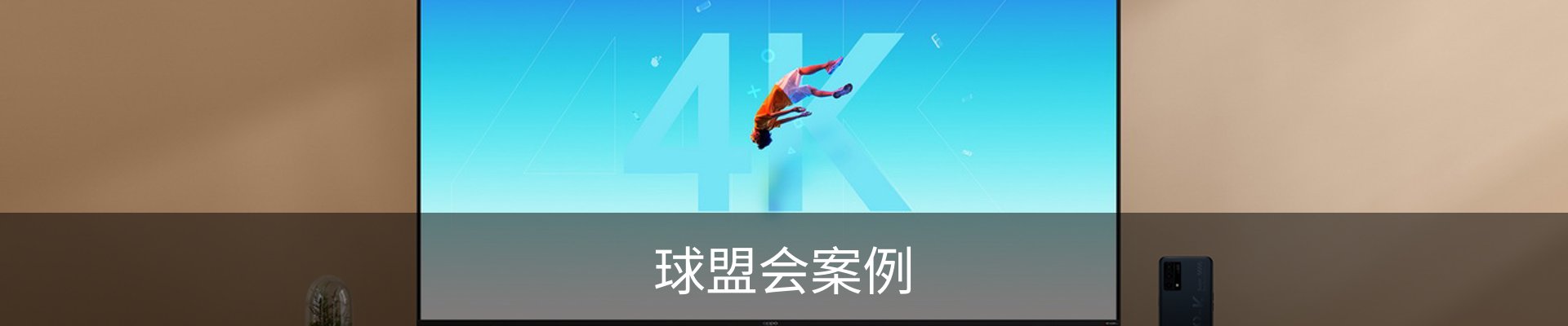球盟会案例