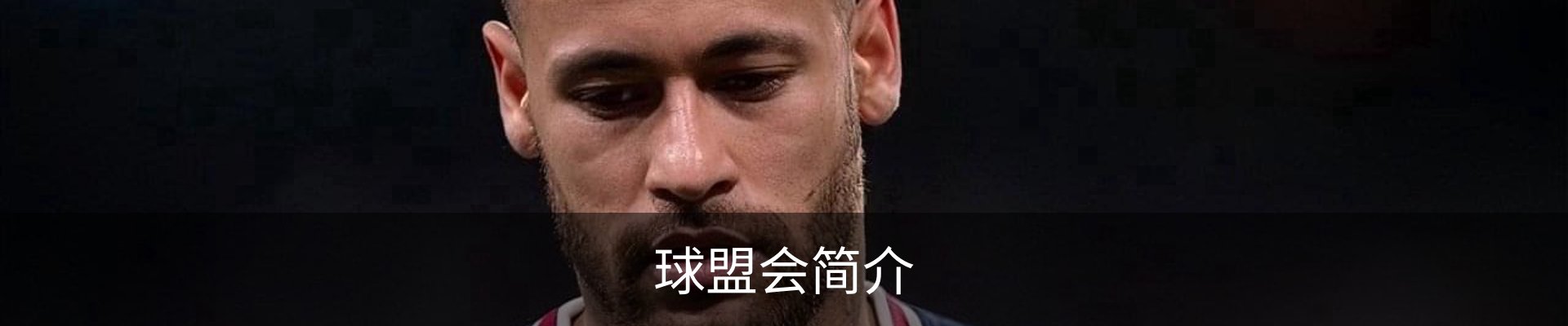 球盟会简介